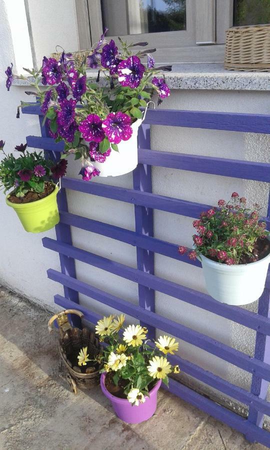 Alma Bed & Breakfast Sennariolo Exterior foto